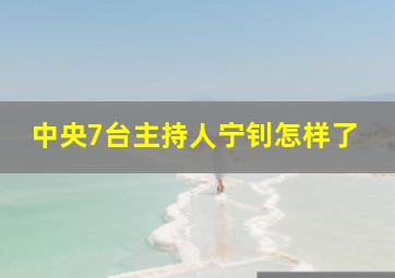 中央7台主持人宁钊怎样了