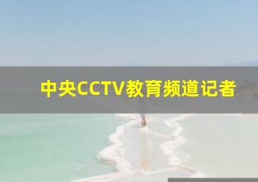 中央CCTV教育频道记者