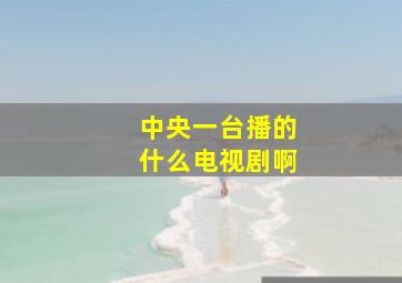 中央一台播的什么电视剧啊