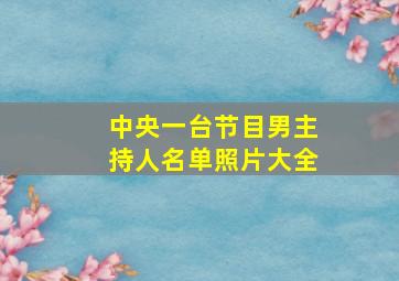 中央一台节目男主持人名单照片大全