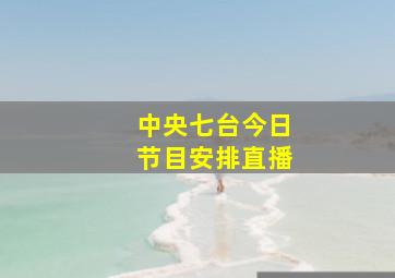 中央七台今日节目安排直播