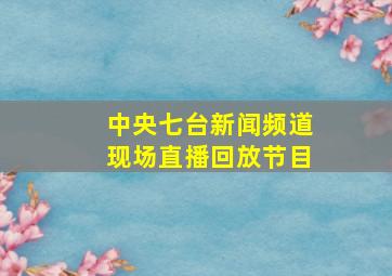 中央七台新闻频道现场直播回放节目