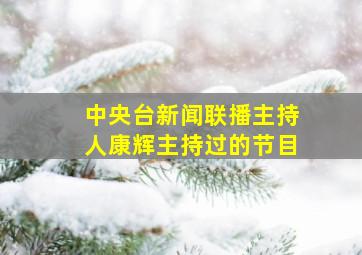 中央台新闻联播主持人康辉主持过的节目