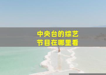 中央台的综艺节目在哪里看