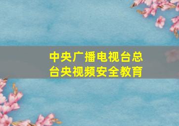 中央广播电视台总台央视频安全教育