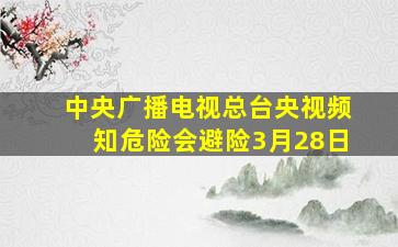 中央广播电视总台央视频知危险会避险3月28日