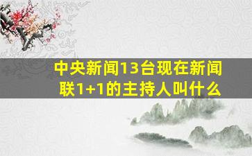 中央新闻13台现在新闻联1+1的主持人叫什么