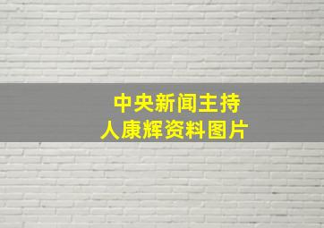 中央新闻主持人康辉资料图片