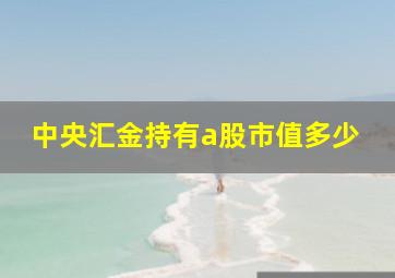 中央汇金持有a股市值多少