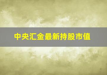 中央汇金最新持股市值