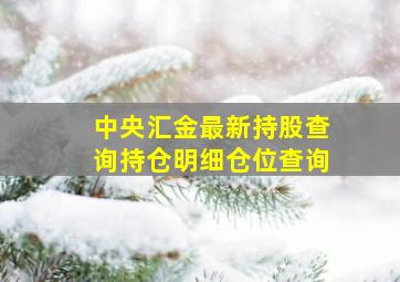 中央汇金最新持股查询持仓明细仓位查询