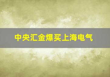 中央汇金爆买上海电气