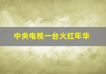 中央电视一台火红年华