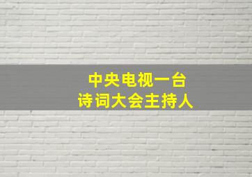 中央电视一台诗词大会主持人