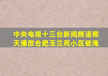 中央电视十三台新闻频道哪天播放合肥玉兰苑小区被淹