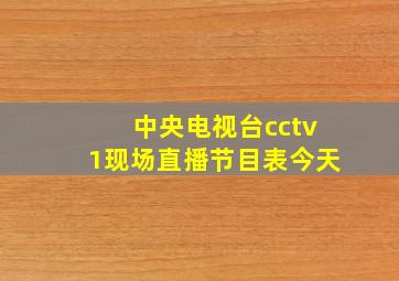 中央电视台cctv1现场直播节目表今天