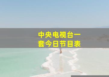 中央电视台一套今日节目表