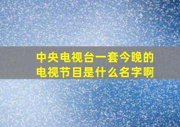 中央电视台一套今晚的电视节目是什么名字啊