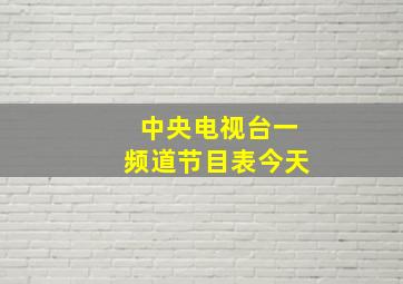 中央电视台一频道节目表今天