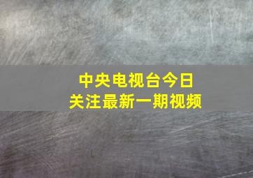 中央电视台今日关注最新一期视频