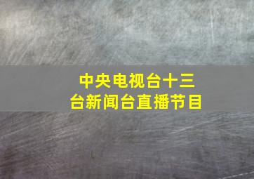 中央电视台十三台新闻台直播节目