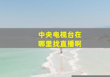 中央电视台在哪里找直播啊