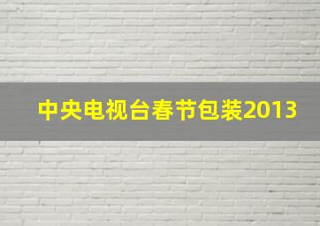 中央电视台春节包装2013