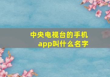 中央电视台的手机app叫什么名字