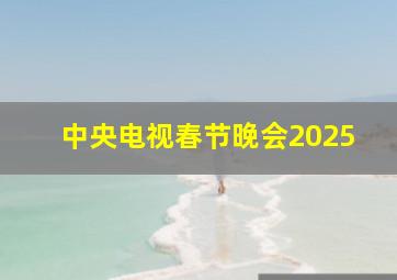 中央电视春节晚会2025