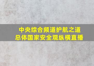 中央综合频道护航之道总体国家安全观纵横直播