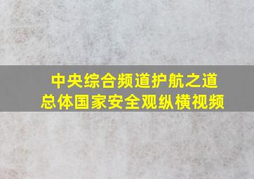 中央综合频道护航之道总体国家安全观纵横视频