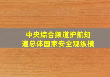 中央综合频道护航知道总体国家安全观纵横