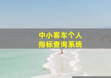 中小客车个人指标查询系统