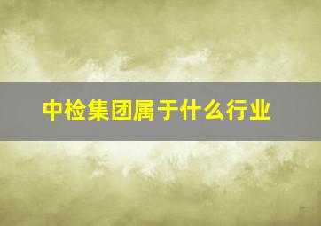 中检集团属于什么行业