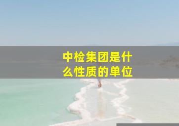 中检集团是什么性质的单位