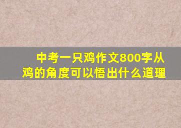 中考一只鸡作文800字从鸡的角度可以悟出什么道理