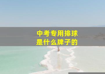 中考专用排球是什么牌子的