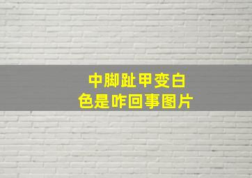 中脚趾甲变白色是咋回事图片