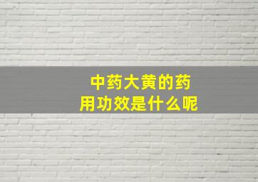 中药大黄的药用功效是什么呢