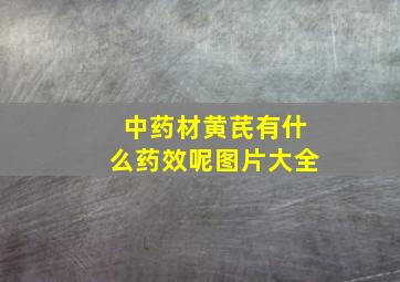 中药材黄芪有什么药效呢图片大全