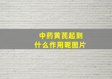 中药黄芪起到什么作用呢图片