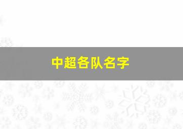 中超各队名字