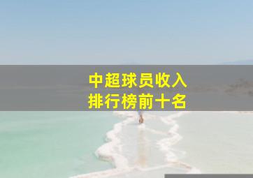 中超球员收入排行榜前十名