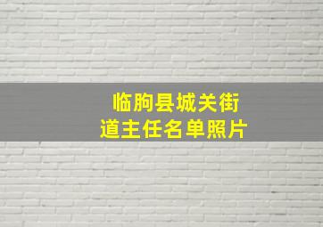 临朐县城关街道主任名单照片