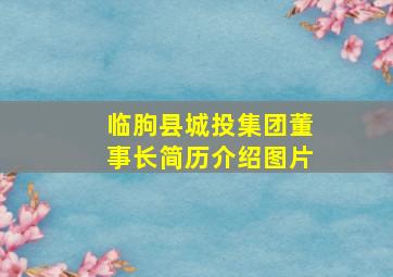 临朐县城投集团董事长简历介绍图片