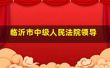 临沂市中级人民法院领导