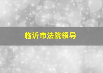 临沂市法院领导