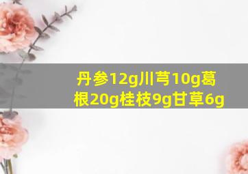 丹参12g川芎10g葛根20g桂枝9g甘草6g