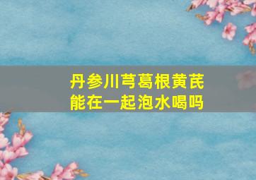 丹参川芎葛根黄芪能在一起泡水喝吗