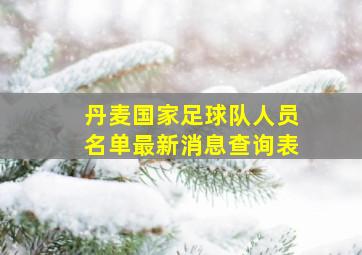 丹麦国家足球队人员名单最新消息查询表